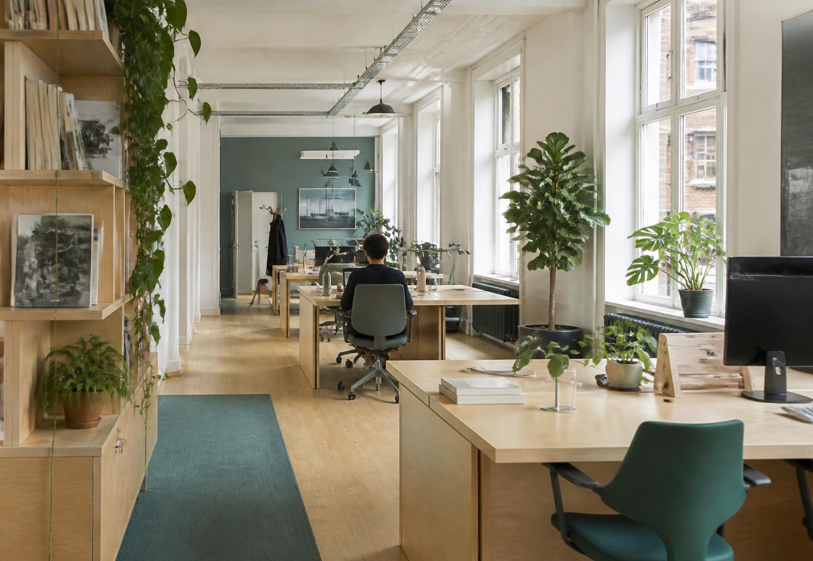 Light contemporary London office with timber desks and plants